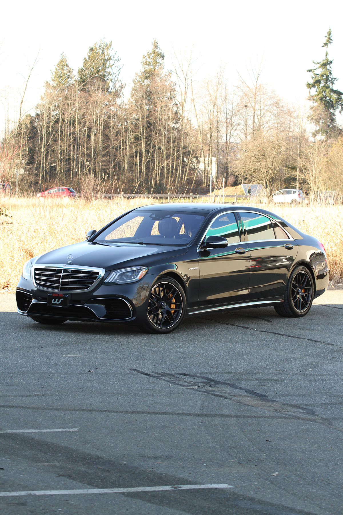 2018 Mercedes-Benz S63 AMG Sedan 25