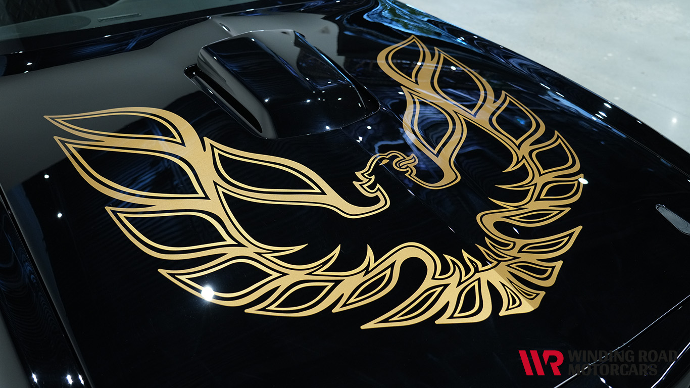 1981 Pontiac Trans-Am 10