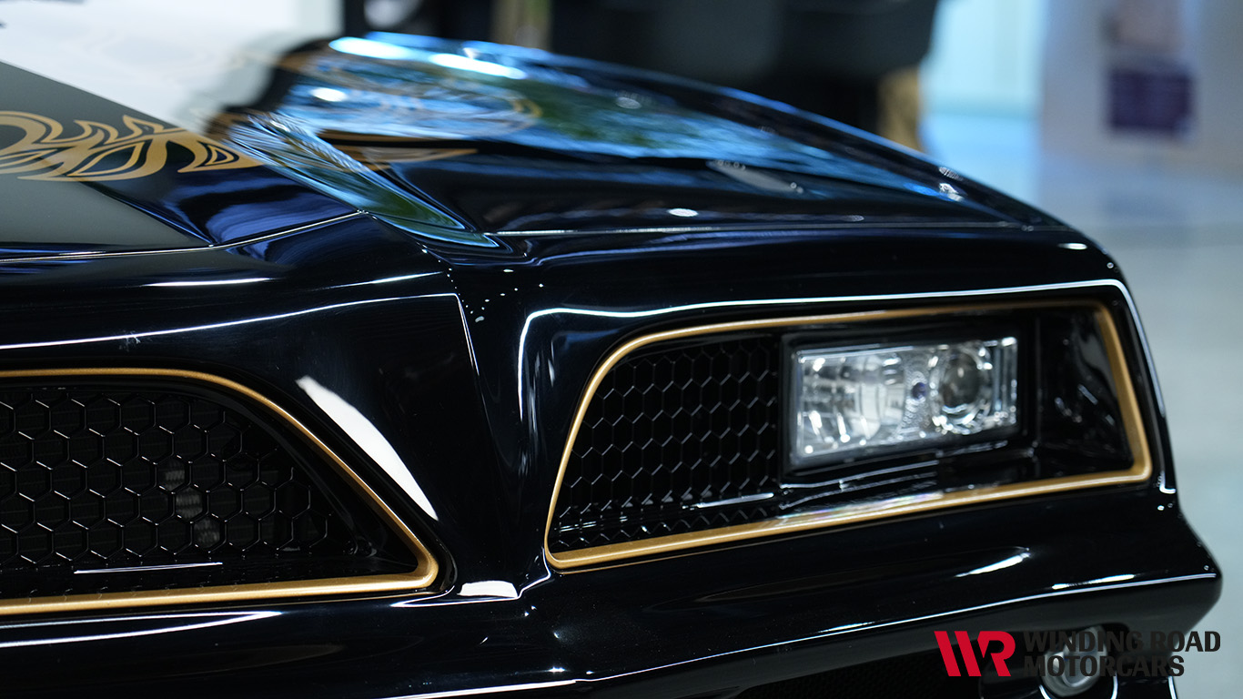 1981 Pontiac Trans-Am 14